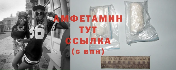 стаф Горняк