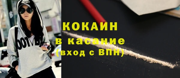 стаф Горняк