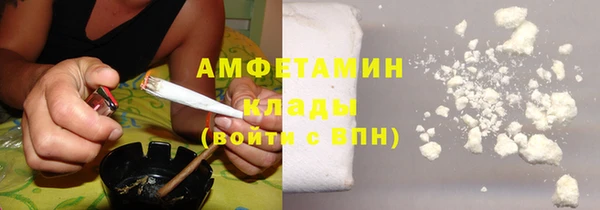 стаф Горняк