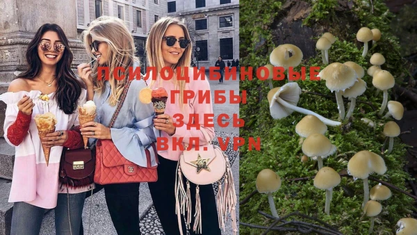стаф Горняк