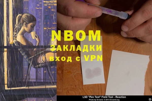 стаф Горняк