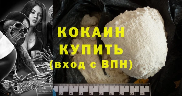 стаф Горняк