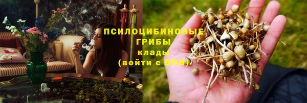 стаф Горняк
