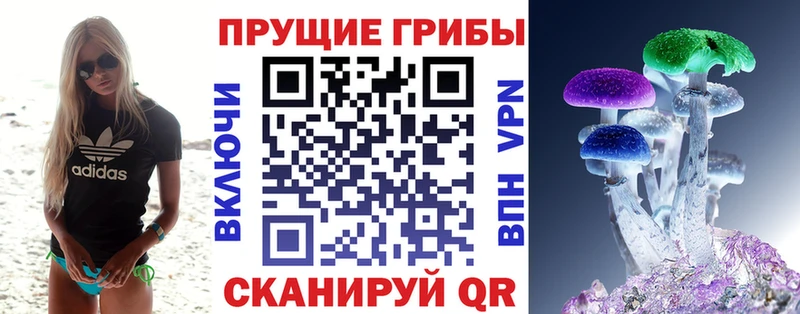 Псилоцибиновые грибы Psilocybe Далматово
